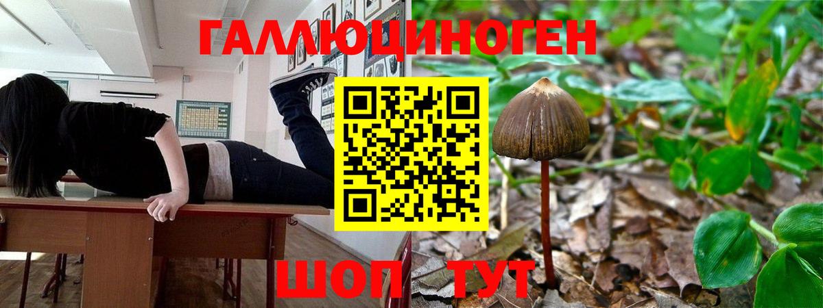 Галлюциногенные грибы мицелий Фурманов